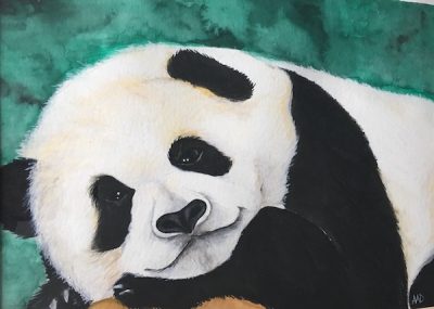 Giant Panda